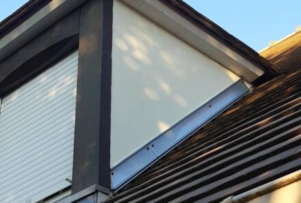 Restauration chien assis Vernouillet 78540