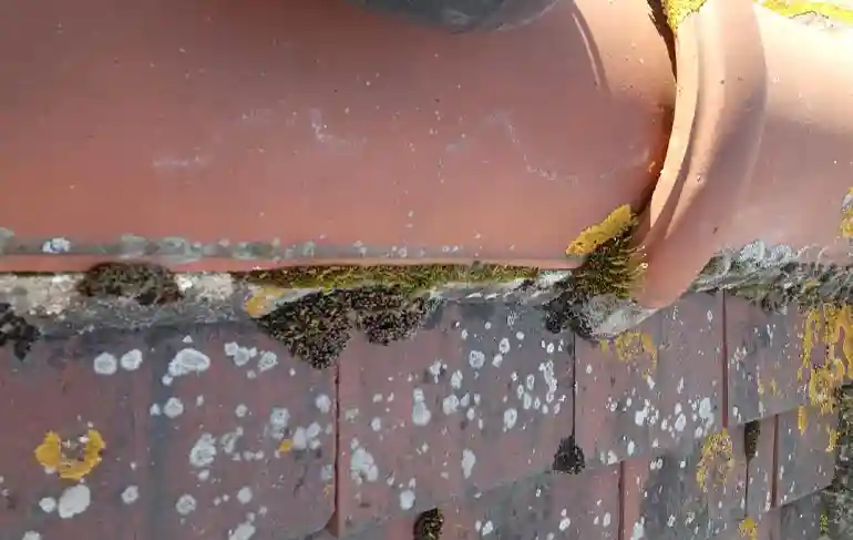 Couvreur 78 – Contrôle toiture 78 gratuit