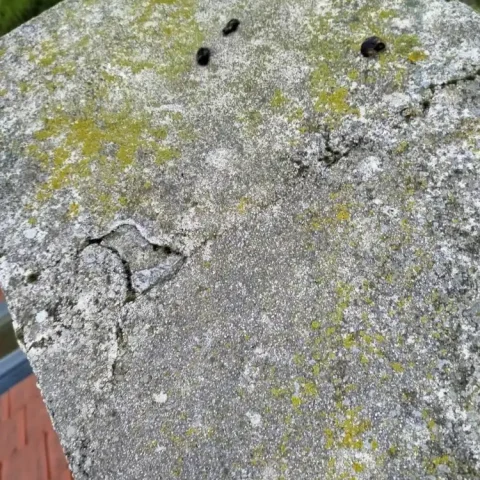 reprise maçonnerie conduit et peinture microporeuse Le Vésinet 78110