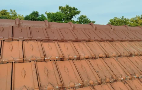 Entretien toiture Le Vésinet 78110